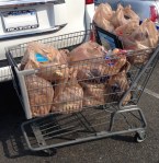 plastic boodschappen tasjes amerika